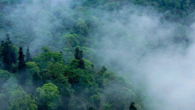 育儿嫂之危：擅自给孩子喂食安眠类药物事件思考